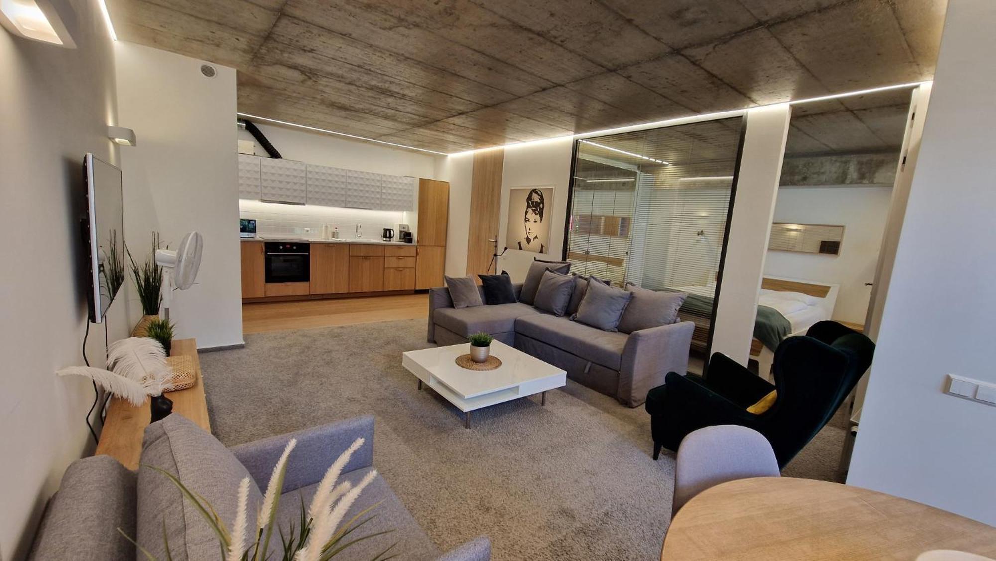 Kauno-Algirdo Luxury Apartments VNO Dış mekan fotoğraf